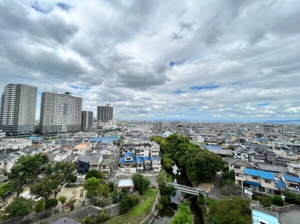 北野田駅 徒歩15分 10階の物件内観写真